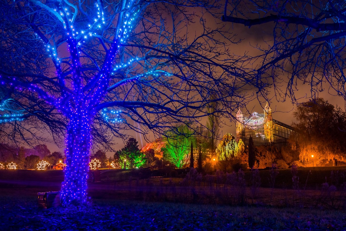 Bietet eine Kulisse für mehrere TV-Shows: der Christmas Garden Berlin im Botanischen Garten der Hauptstadt