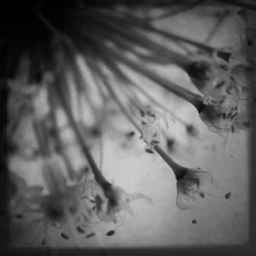 Field Rotation – Acoustic Tales