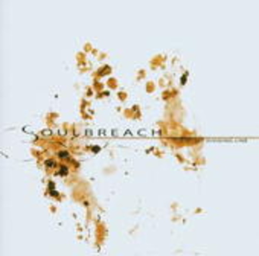 Soulbreach – My Dividing Line