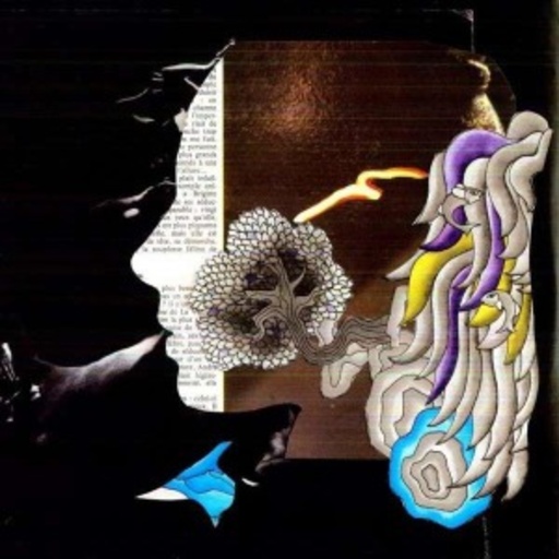 Diverse – D.I.R.T.Y. French Psychedelic