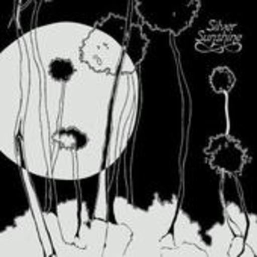 Silver Sunshine – Silver Sunshine