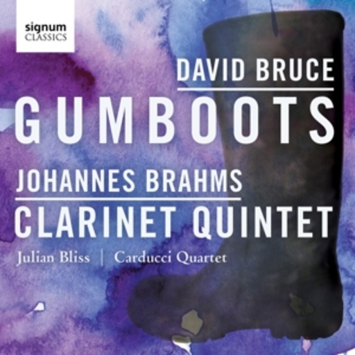 Julian Bliss/Carducci String Quartet – Gumboots/Clarinet Quintet