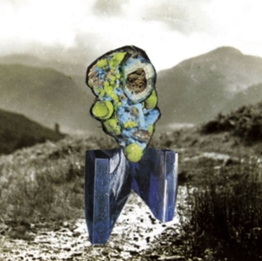 Richard Dawson – The Glass Trunk