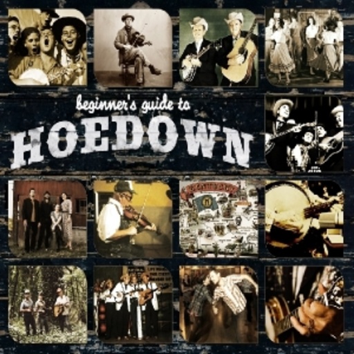 Diverse – Beginner's Guide To Hoedown