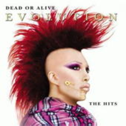 Dead Or Alive – Evolution - The Best Of