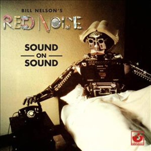 Bill Nelson's Red Noise – Sound On Sound