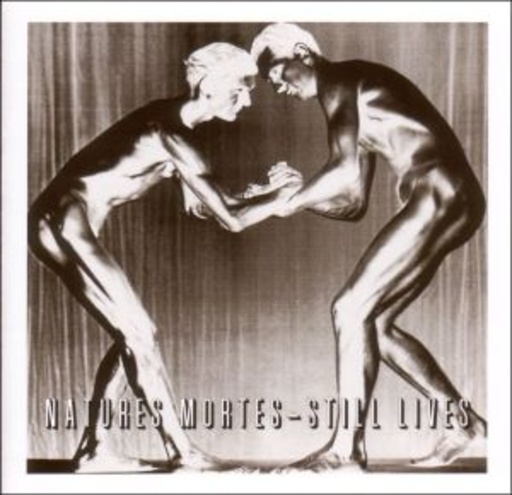 Natures Mortes – Still Lives