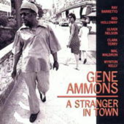 A Stranger In Town