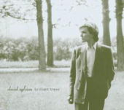 David Sylvian – Brilliant Trees