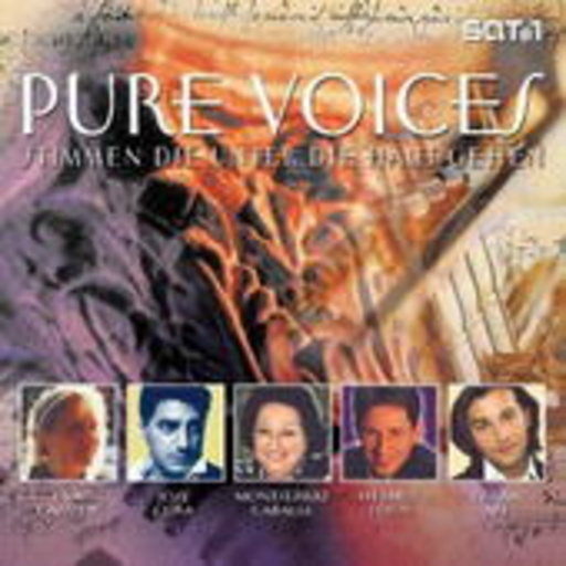 Diverse – Pure Voices - Stimmen die unter die Haut gehen