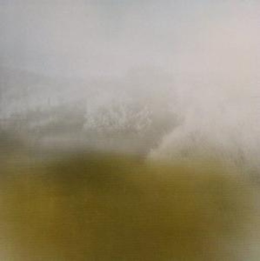 Richard Skelton – Landings