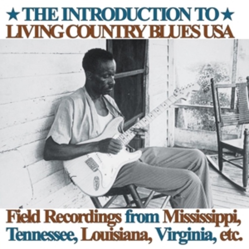 Diverse – Introduction To Living Country Blues
