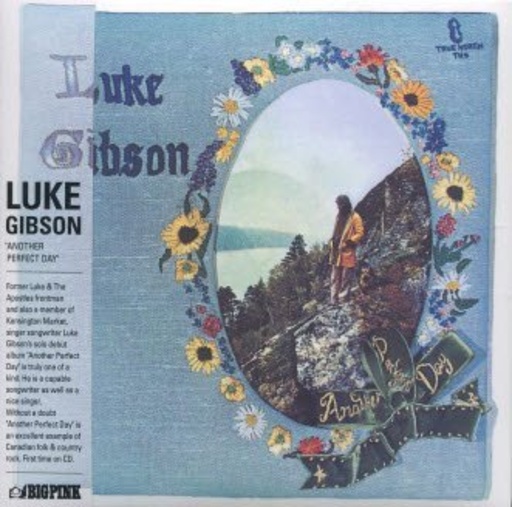Luke Gibson – Another Perfect Day