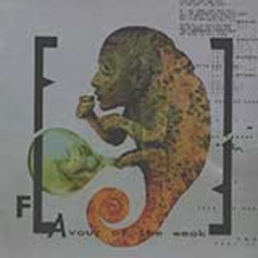 Front Line Assembly – Flavour Of The Weak