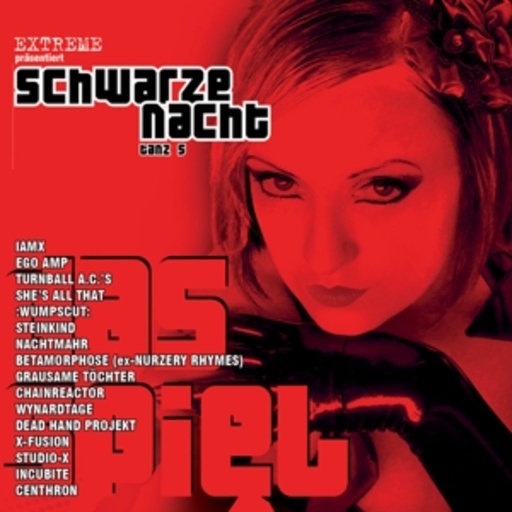 Diverse – Schwarze Nacht 5
