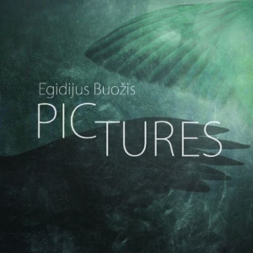 Pictures