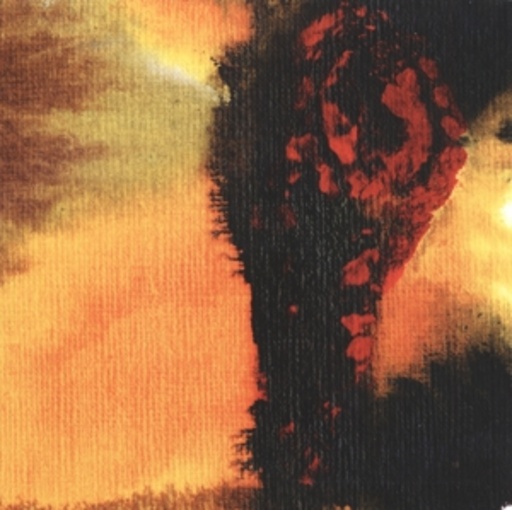Polar Bear – Same As You