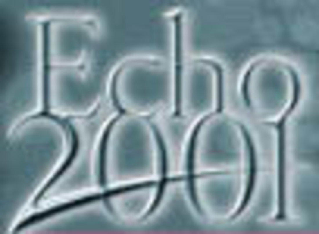 Der Echo 2001