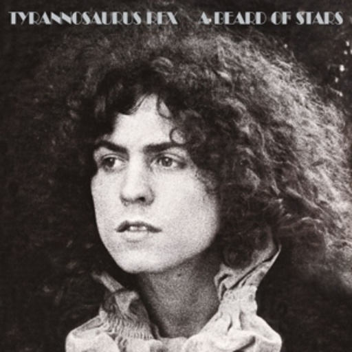 T.Rex – A Beard Of Stars