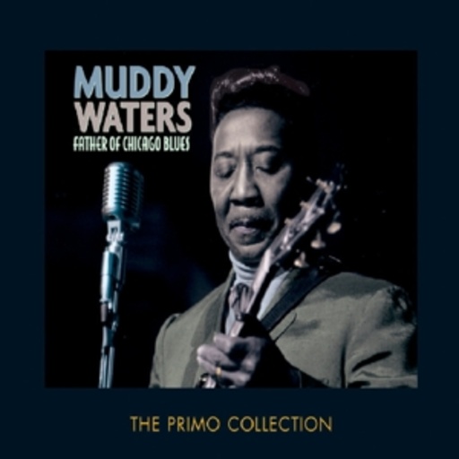 Muddy Waters – Father Of Chicago Blues