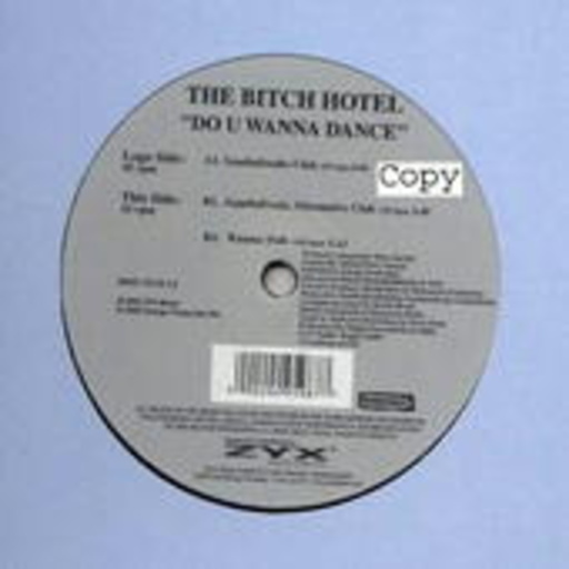 The Bitch Hotel – Do You Wanna Dance