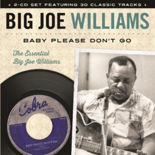 Big Joe Williams – Baby Please Don't Go