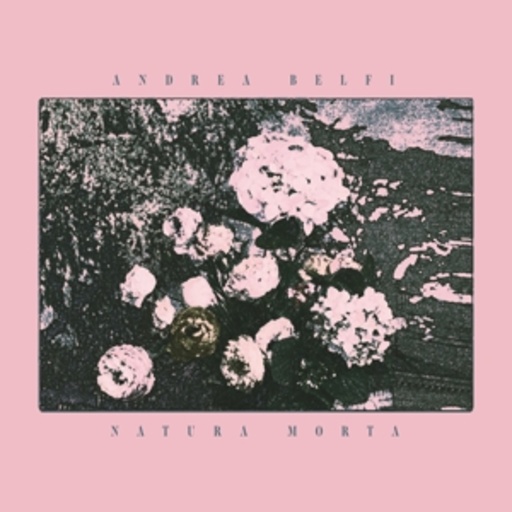 Andrea Belfi – Natura Morta
