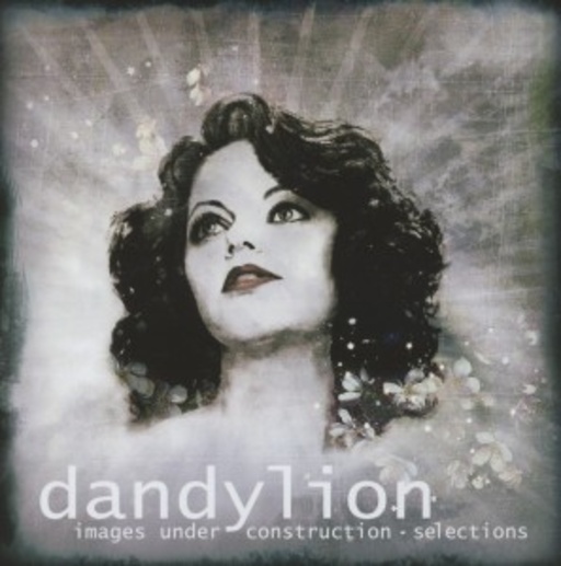 Dandylion – Images Under Construction - Selection