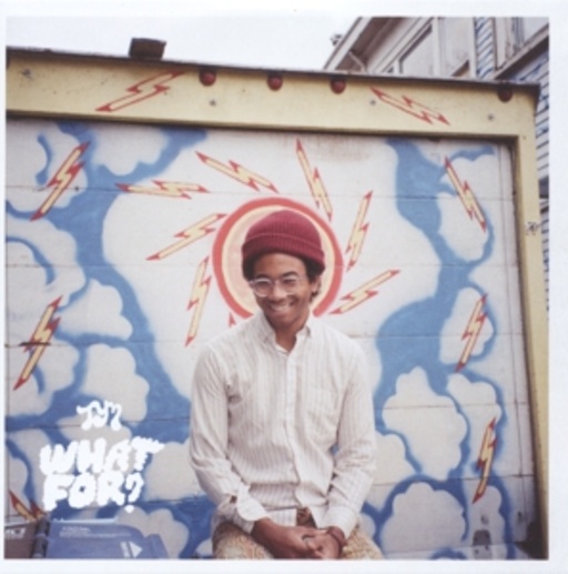 Toro Y Moi – What For