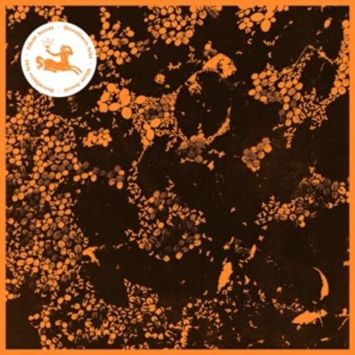 Downliners Sekt – Silent Ascent