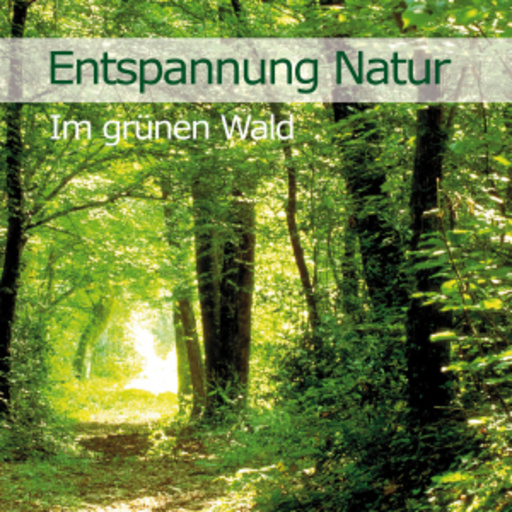 Karl-Heint Dingler – Entspannung Natur - Im grünen Wald