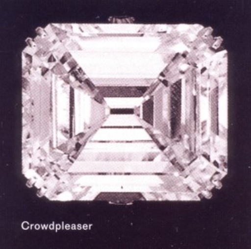 Crowdpleaser – Crowdpleaser