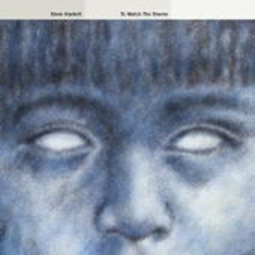 Steve Hackett – To Watch The Storms