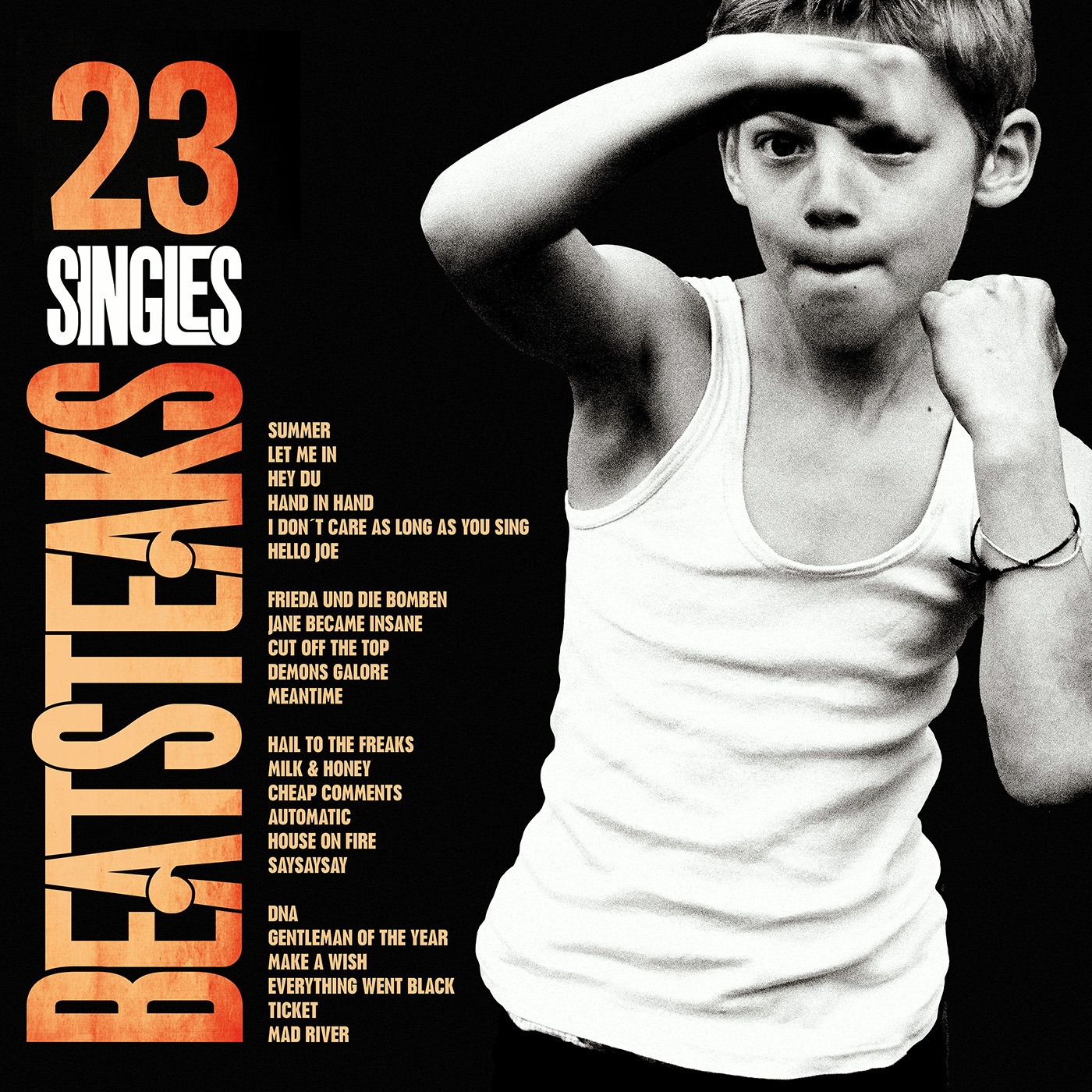 Beatsteaks – 23 Singles