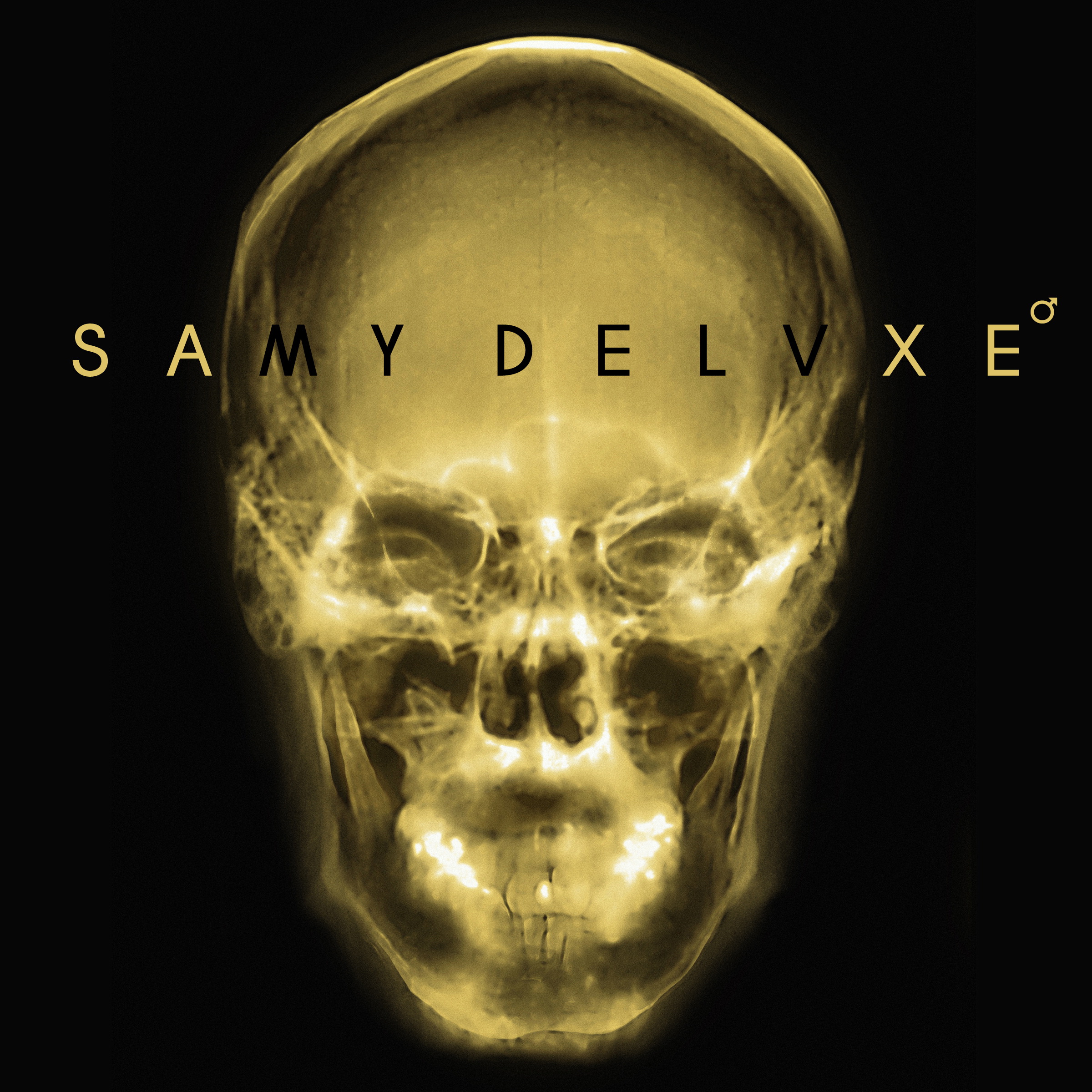 Samy Deluxe – Männlich