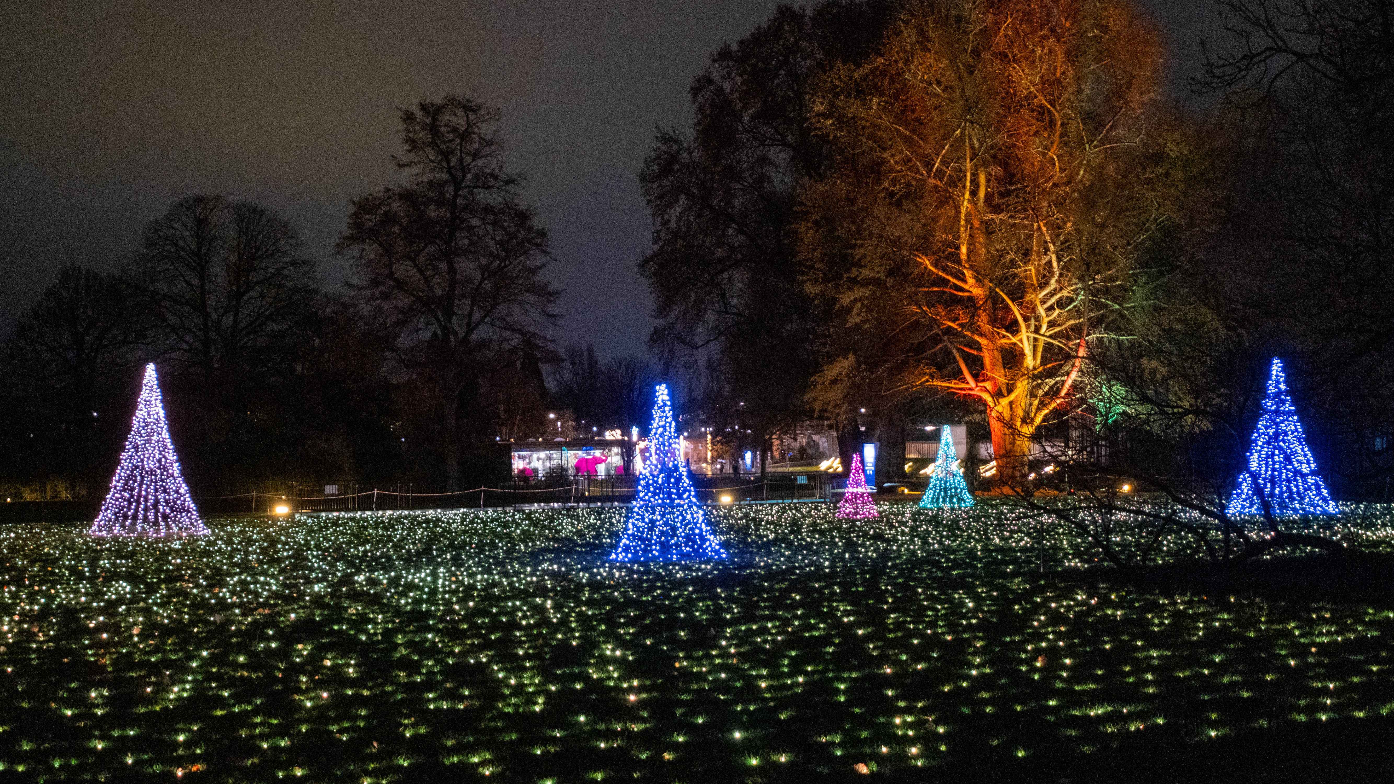 Zog 150.000 Gäste an: der Stuttgarter Christmas Garden.