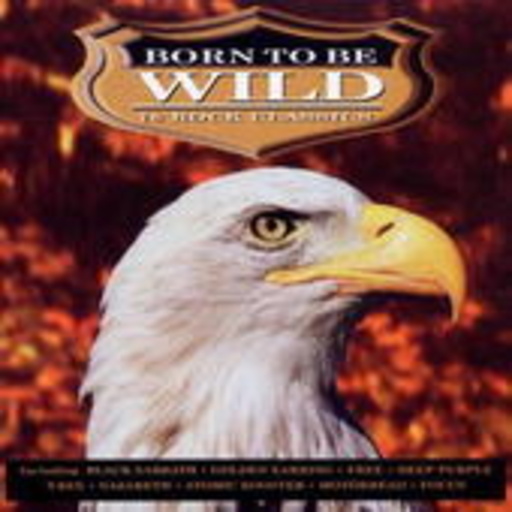 Diverse – Born To Be Wild
