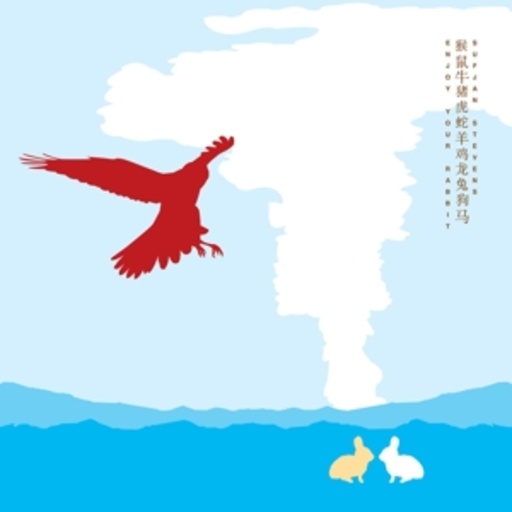 Sufjan Stevens – Enjoy Your Rabbit