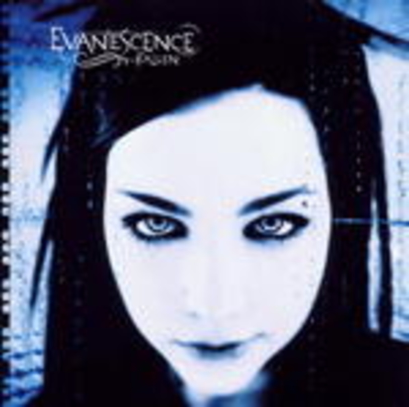 Hat Gold in Deutschland, Platin in den USA: die Debüt-CD von Evanescence