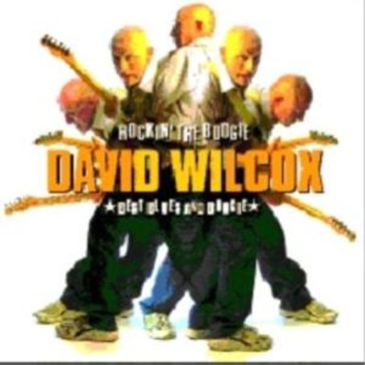 David Wilcox – Rockin The Boogie - Best Of Blues And Boogie