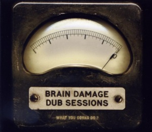 Brain Damage Dub Sessions – What You Gonna Do?