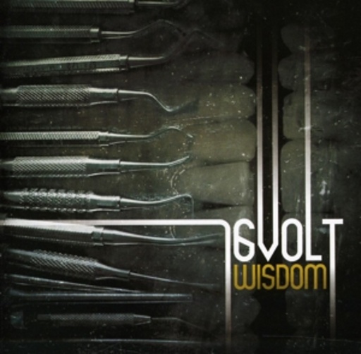 16Volt – Wisdom