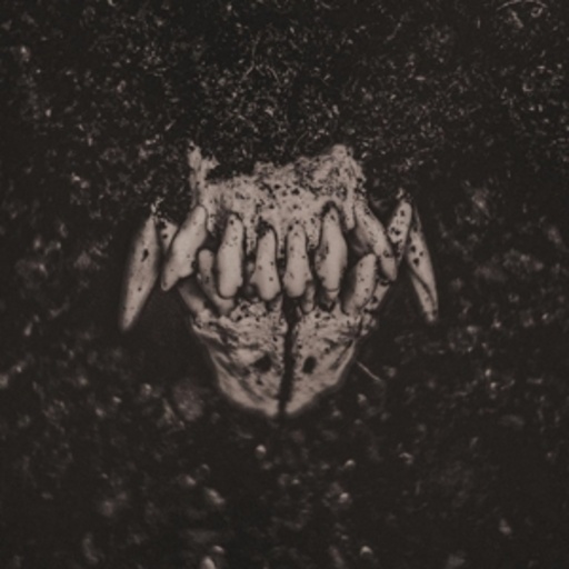 Amenra – Mass I