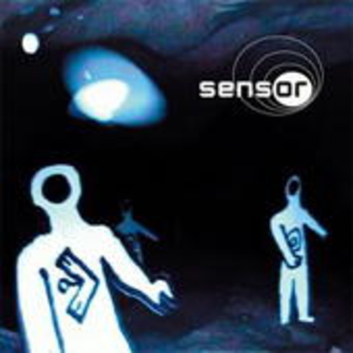 Sensor