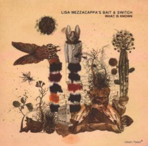 Lisa Mezzacappa's Bait & Switch – What Is Known