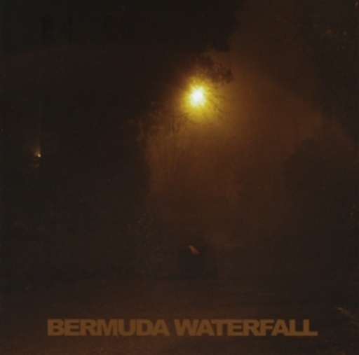 Sean Nicholas Savage – Bermuda Waterfall
