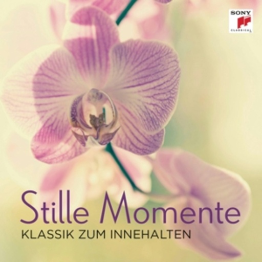 Diverse – Stille Momente - Klassik zum Innehalten
