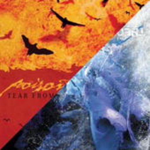 Poison The Well – The Opposite Of December/Tear From The Red