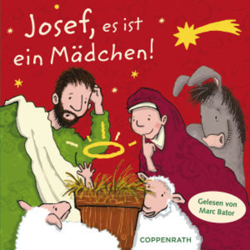 Thorsten Saleina – Josef, es ist ein Mädchen - 24 x "andere" Weihnachten
