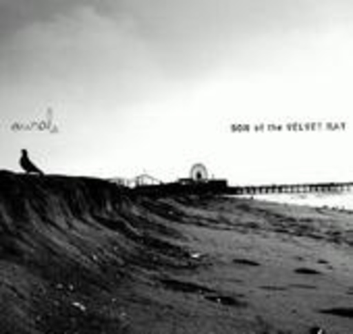 Son Of The Velvet Rat – Animals